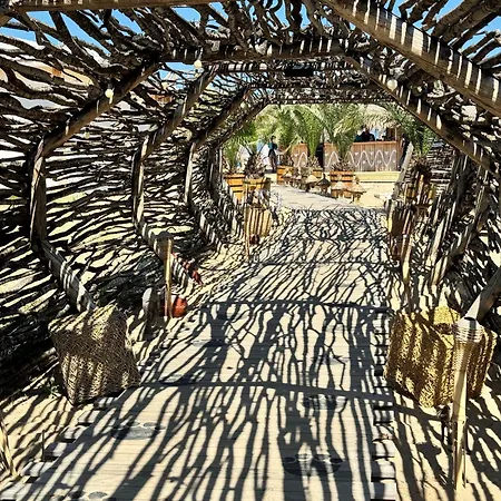 Sunshine * Shkorpilovtsi