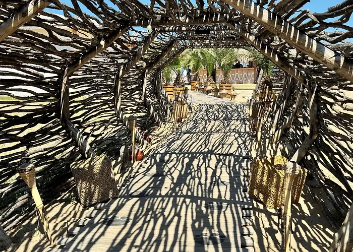 Sunshine * Shkorpilovtsi